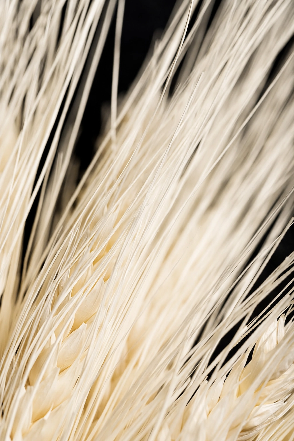 Fibre funzionali